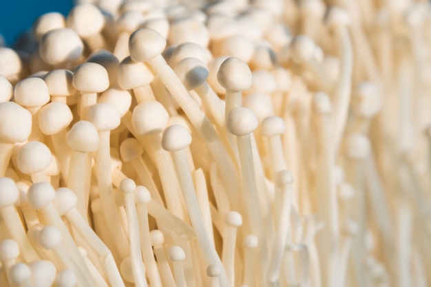 Enoki mushroom, Golden needle mushroom