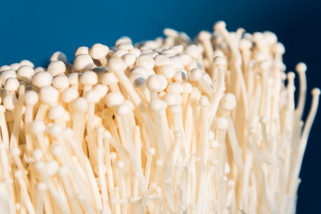 Enoki-paddestoel, gouden naaldpaddestoel