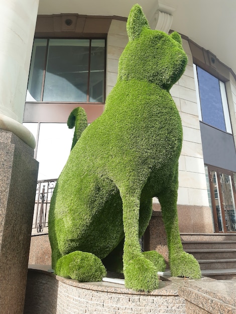 Enorm decoratief beeld van een kattenprofiel gemaakt van groen zacht materiaal in de buurt van de winkel