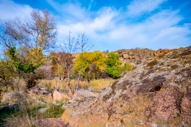 Enorme afzettingen van oude steenmineralen bedekt met vegetatie in een weiland vol warme zon in het pittoreske Oekraïne en zijn prachtige natuur
