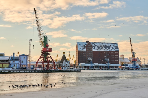 Enorme havenkranen in de zeehaven.