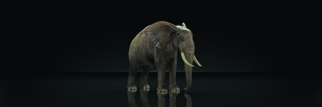 enorme olifant in donkere achtergrond 3D-rendering