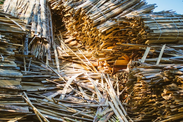 Foto enorme stapel grote gezaagde boomstammen uit het bos