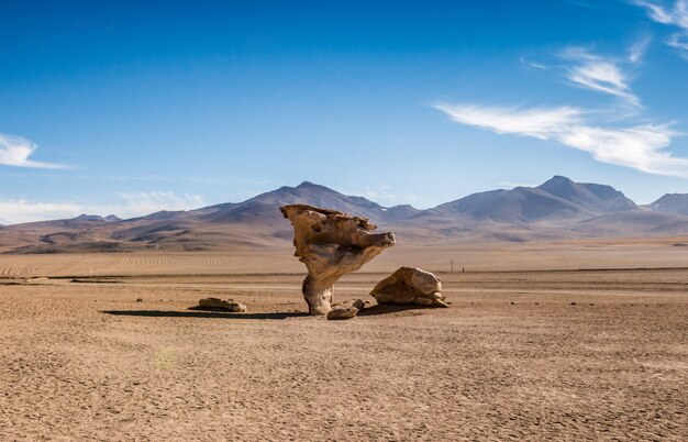 Enorme stenen in de Boliviaanse woestijn