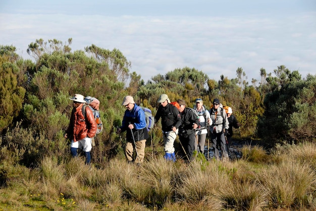 Enthusiasten van wandelen