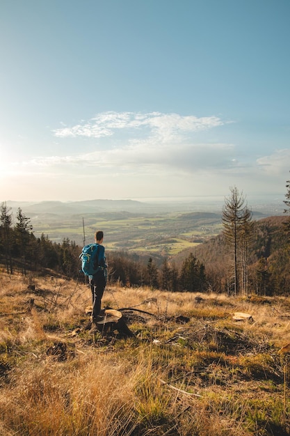 enthusiastic traveller stands on a stump in a clear-cut forest looking down into the valley