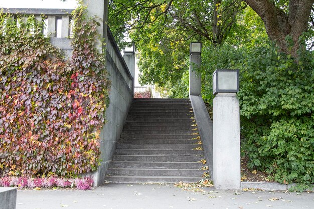 写真 建物の入り口