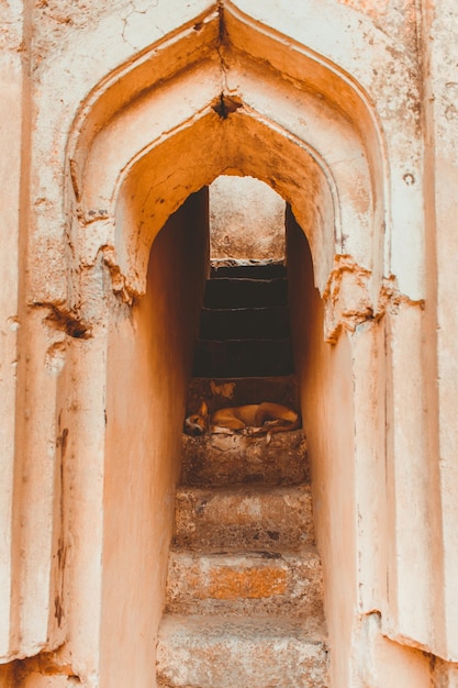 Photo entrance of old building