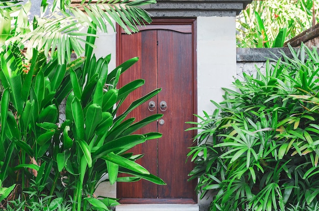 Photo entrance wooden door among tropical plants