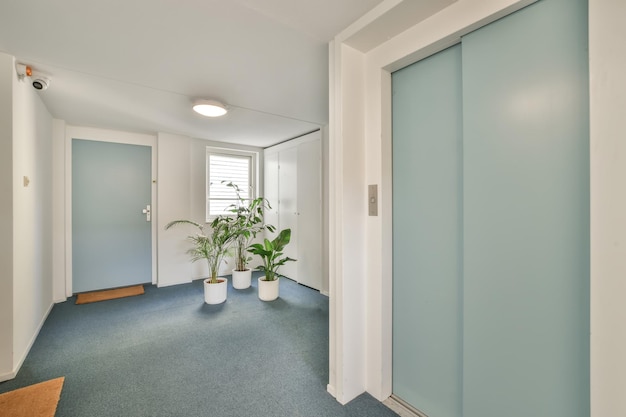 Entree van een woonappartement met vloerbedekking en een lift in blauw in een gezellig huis