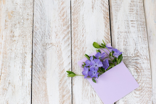 an envelope and in it are purple flowers