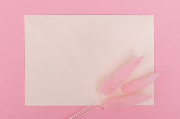 Envelope and lagurus with copy space on pink background