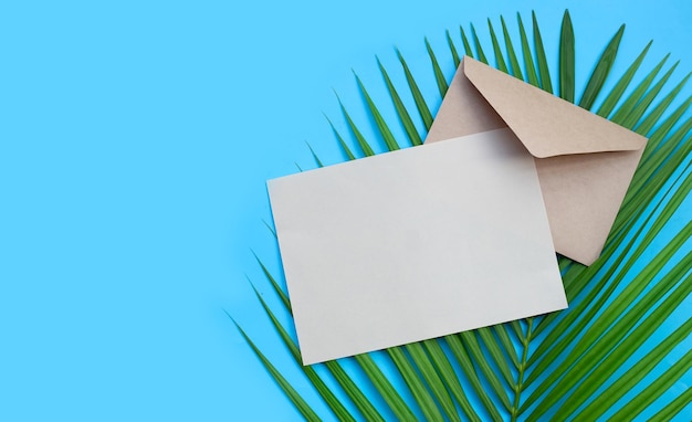 Envelope with blank paper on palm leaf on blue background