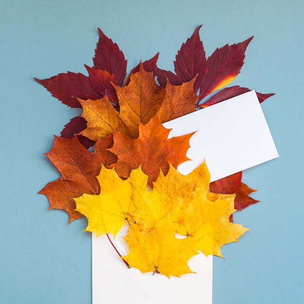 Envelope with dried bright autumn leaves on blue table