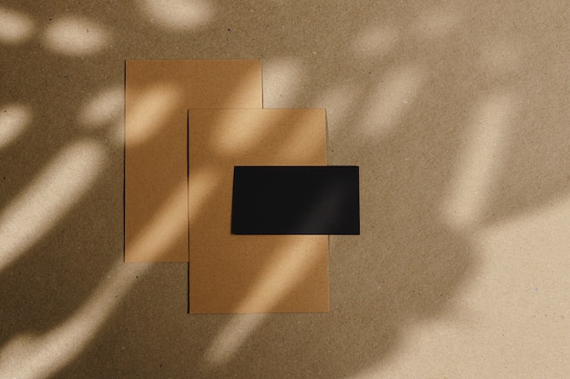 葉の影とコルクボード上の封筒