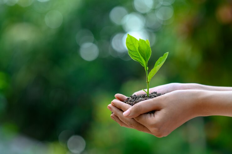 Photo environment earth day in the hands of trees growing seedlings