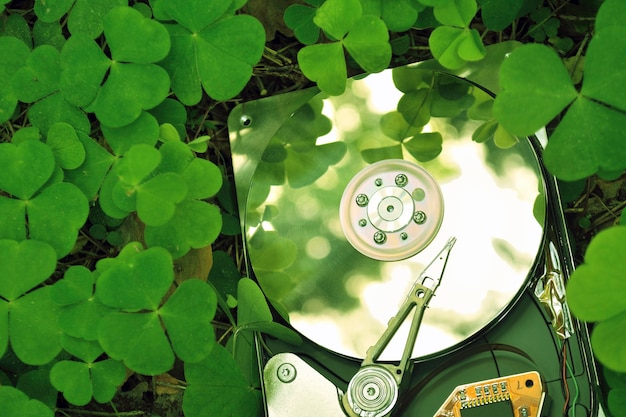 Environment friendly technology concept; hard drive in forest grass; focus on hdd