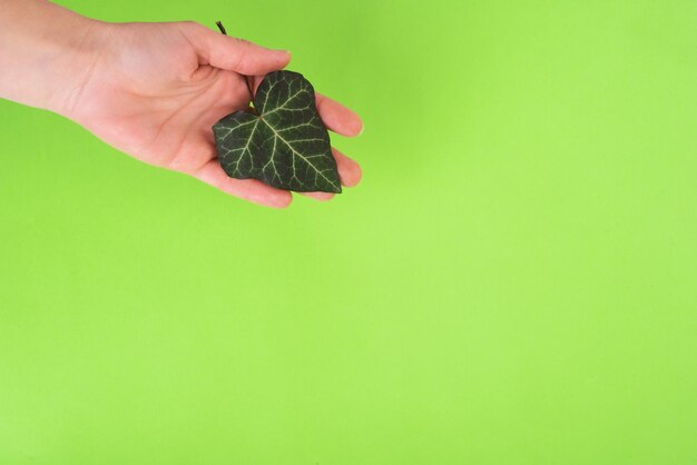 Environmental and Ecology Care Concept. Hand Holding Heart Shape Green Leaf on green background. Copy space.