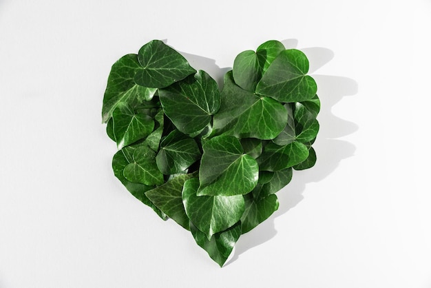 Environmental Green energy eco concept Green leaves in heart shape on white background Flat lay