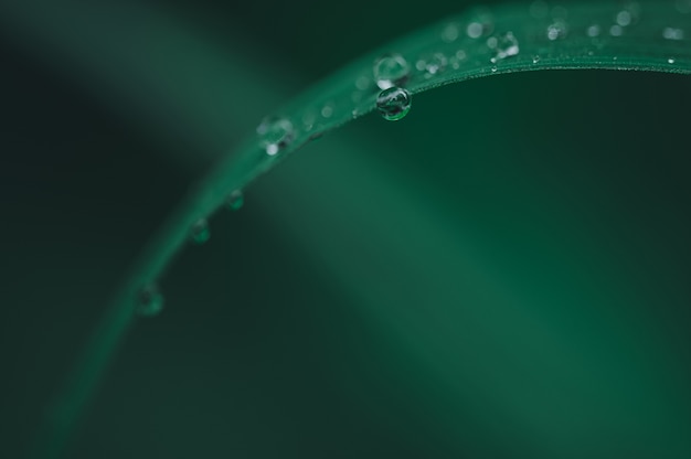 Environmental love water drop concept background