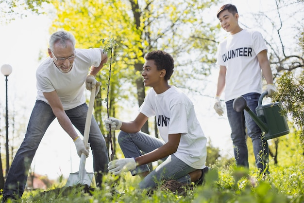 Organizzazione ambientale. basso angolo di vigorosi tre volontari che piantano alberi e sorridono