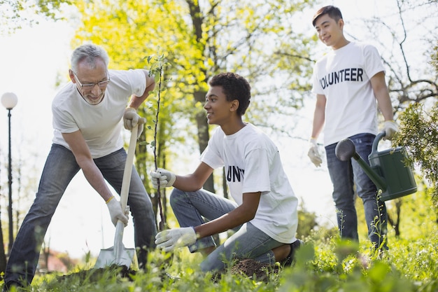 Photo environmental organization. low angle of vigorous three volunteers planting tree and grinning