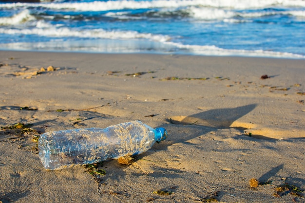 環境汚染：ビーチでのペットボトル