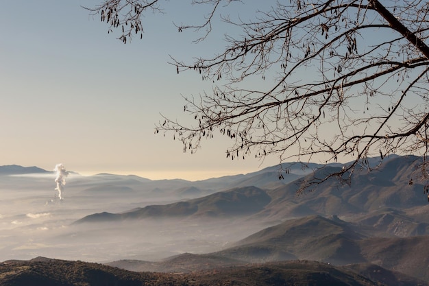 Environmental problem of pollution of environment and air in\
the countryside a view of the mountains in the fog a plant for the\
production of electricity and tree branches