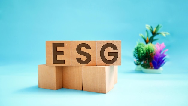 Фото Экологическая социальная и управленческая концепция esg слово esg выгравировано на деревянном блоке