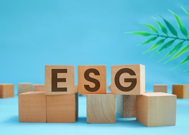 Foto concetto esg sociale e di governance ambientale parola esg incisa su blocco di legno