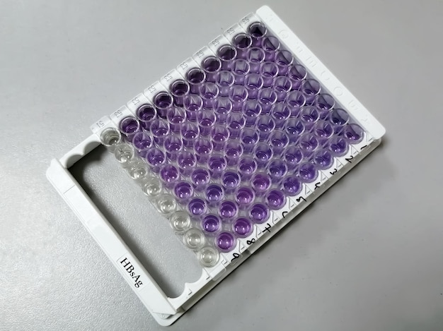 Enzyme Linked immunosorbent assay or ELISA plate for hepatitis B testing