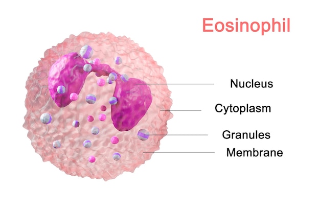 Foto eosinofielen zijn het immuunsysteem van bloed structuur van de cel virusbescherming 3d render