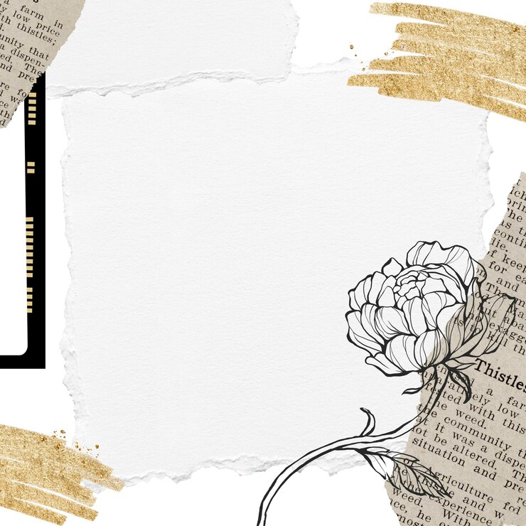 Photo ephemera png frame vintage peony transparent background