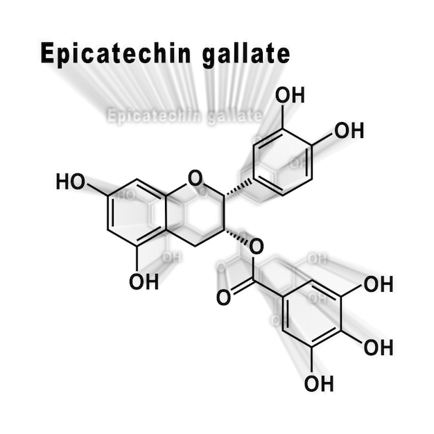 Epicatechin gallate, Structural chemical formula on a white background