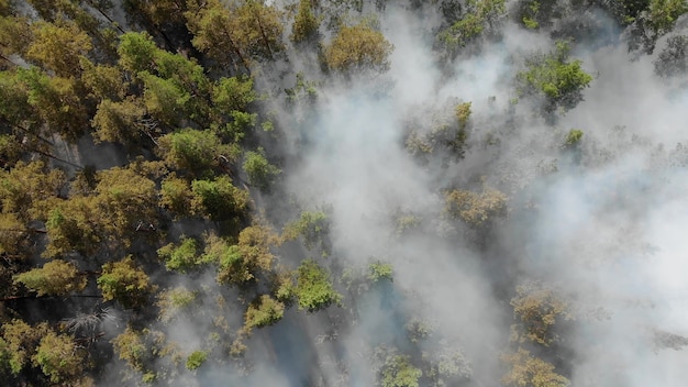 Epische luchtfoto van rokend wild vuur. Grote rookwolken en vuur verspreiden zich. Ontbossing van bossen en tropische jungle. Bosbranden in de Amazone en Siberië. Droog gras verbrandt. Klimaatverandering, ecologie, aarde
