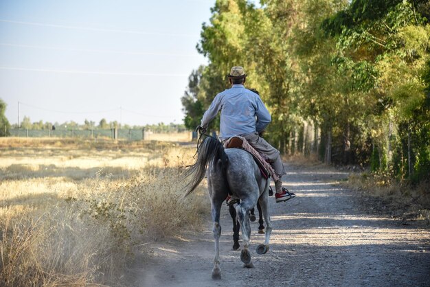 写真 馬の牧場の乗馬ライダー