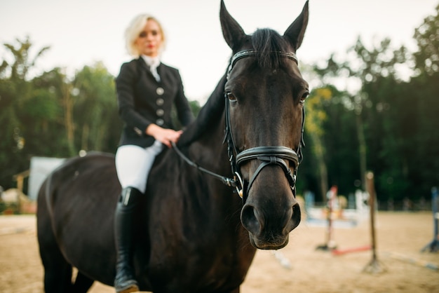 乗馬スポーツ、馬に乗ってポーズをとる女性