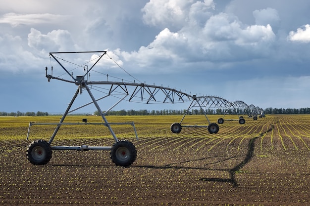 Foto attrezzatura per l'irrigazione automatica di un grande campo