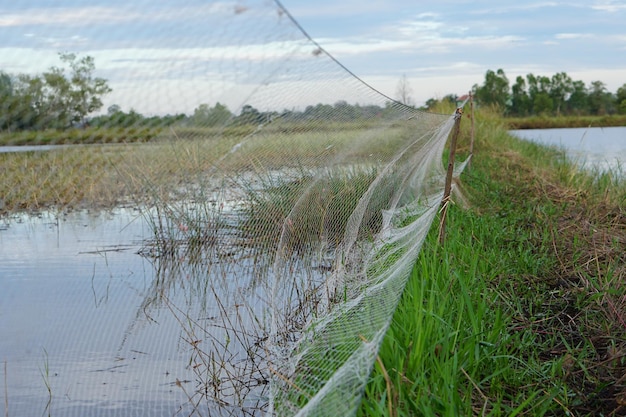 Equipment for catching fish in the field