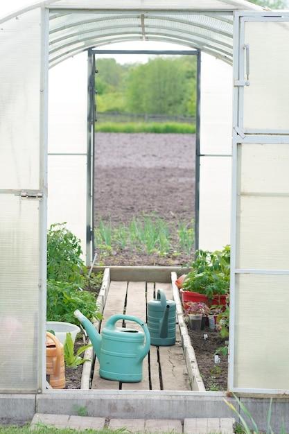 写真 温室で野菜を栽培するための設備 温室で作業するための道具 農業 農業