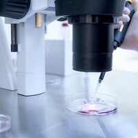 Оборудование лаборатории оплодотворения эко микроскоп клиники репродуктивной медицины