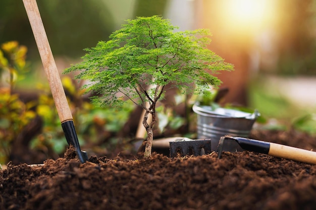 植物を植えたり、土壌に植物を育てたりするための装置