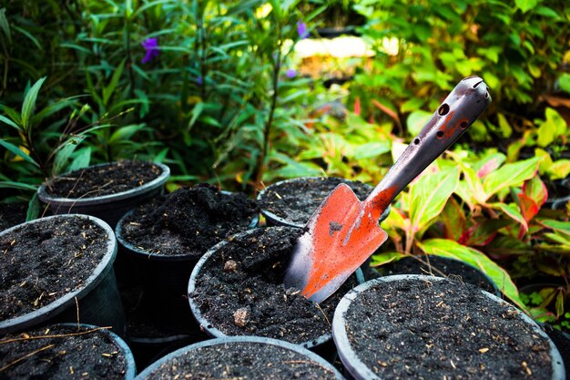 equipment Planting trees and flowers.