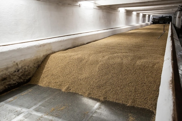 Equipment for the preparation of beer