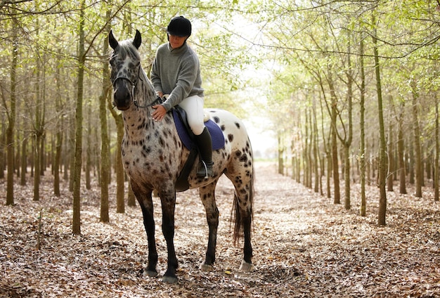 Er bestaat een sterke verbinding tussen paard en ruiter Volledig shot van een aantrekkelijke jonge vrouw die overdag door het bos rijdt