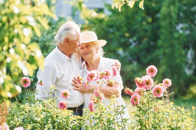 Er groeien roze gekleurde bloemen mooi senior paar is samen in de tuin