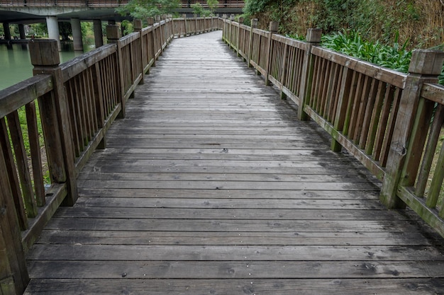 Er is een houten plankenweg in het park