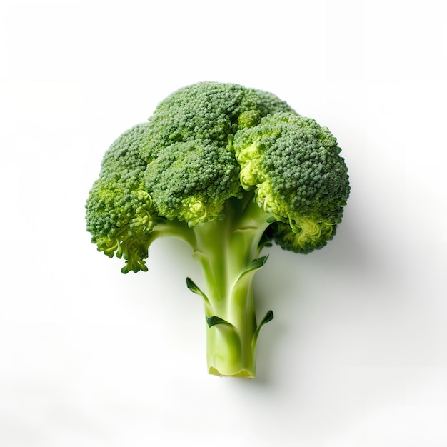 Er wordt een broccoli getoond met een witte achtergrond.