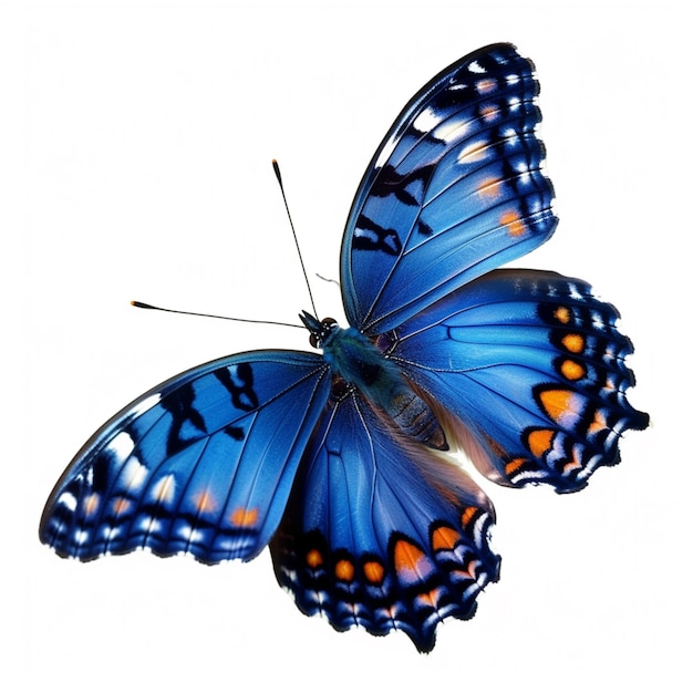 Er zit een blauwe vlinder op een wit oppervlak.