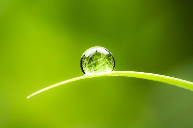 Er zit een druppel water op een blad